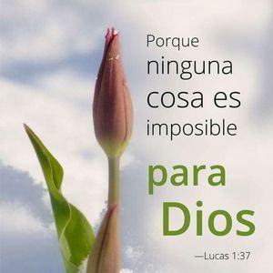 Meet your Posher, Zabeth